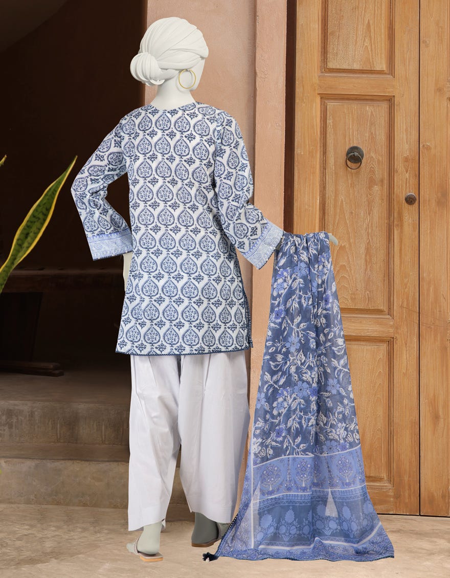 MULTICOLOR LAWN EMBROIDERED UNSTITCHED 3PC | JLAWN-S-25-3297-A