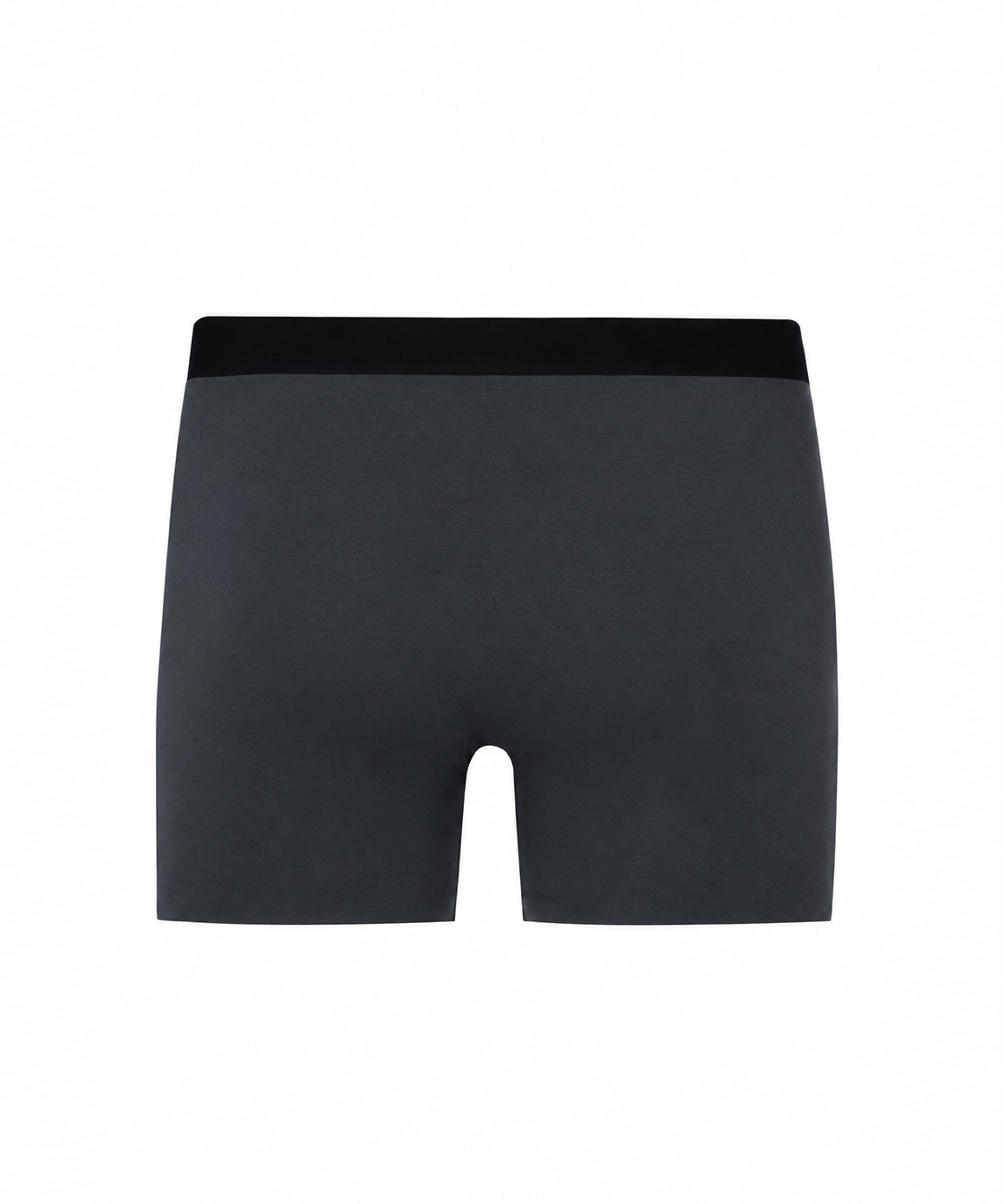 Dark Grey Antibacterial Trunk