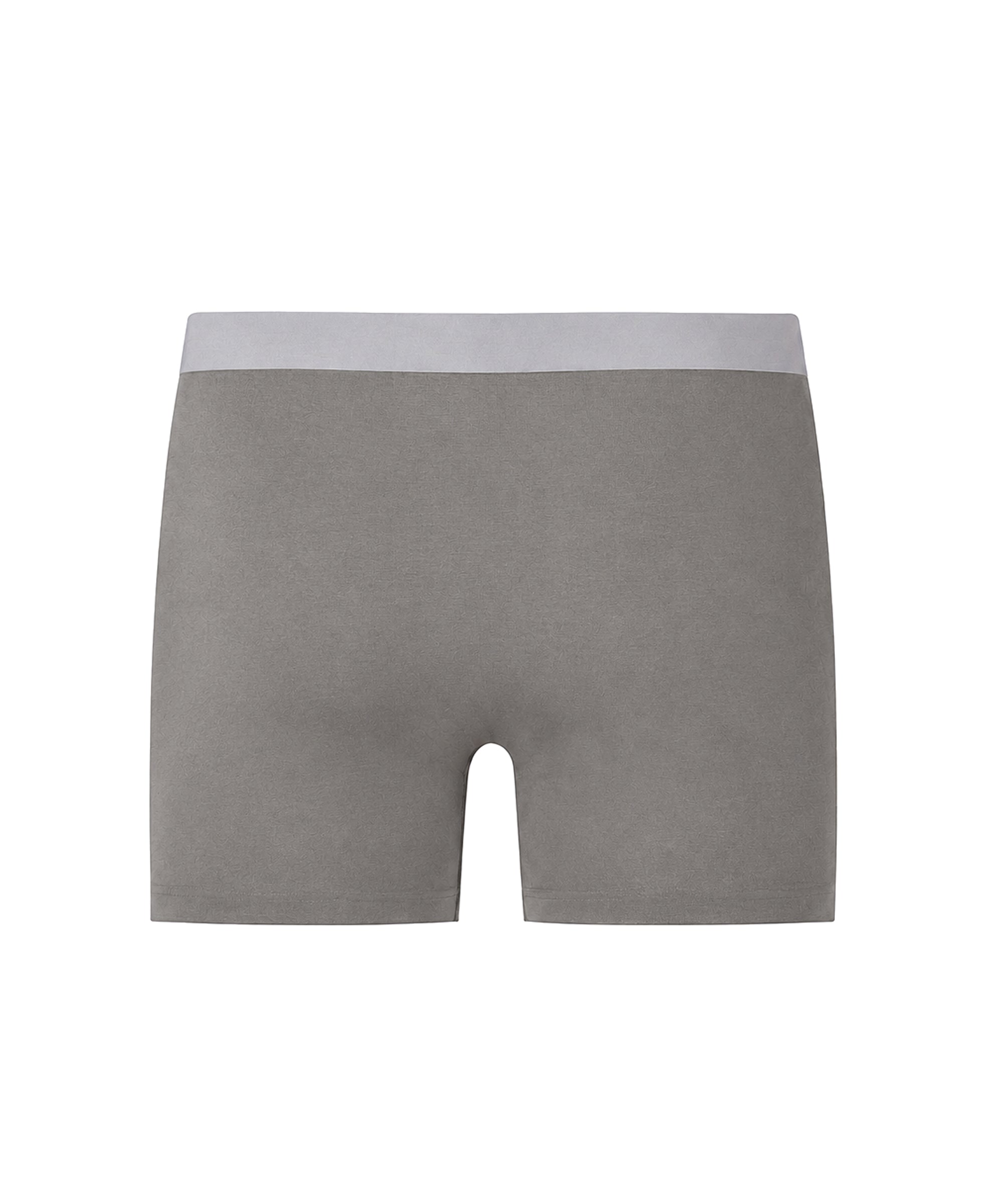 Iron Grey Antibacterial Trunk
