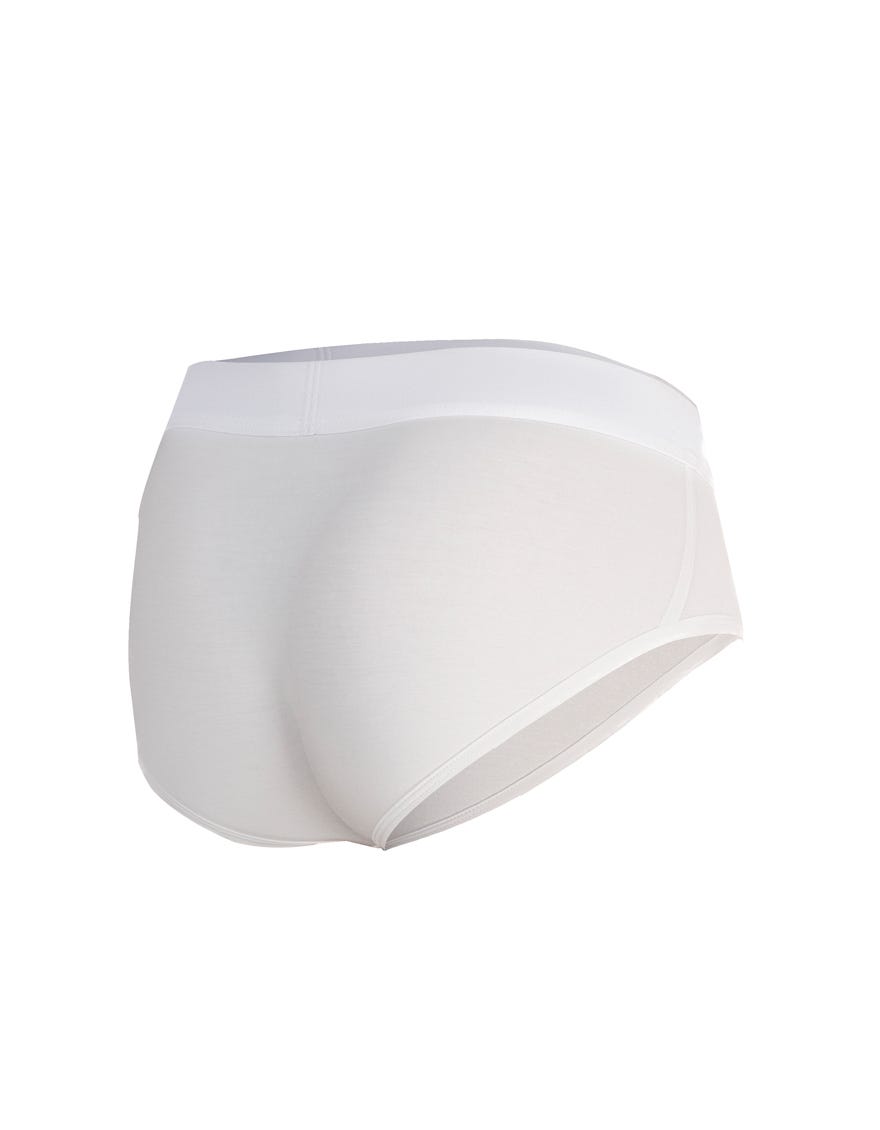 WHITE MODAL BRIEF | JJUW-MBRIEF