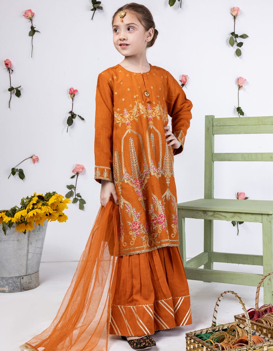 Orange Raw Silk Stitched 3 Piece | Jgk-S-24-1913