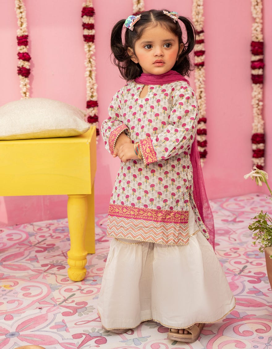 Multicolor Lawn Stitched 3 Piece | Jgk-S-24-1924
