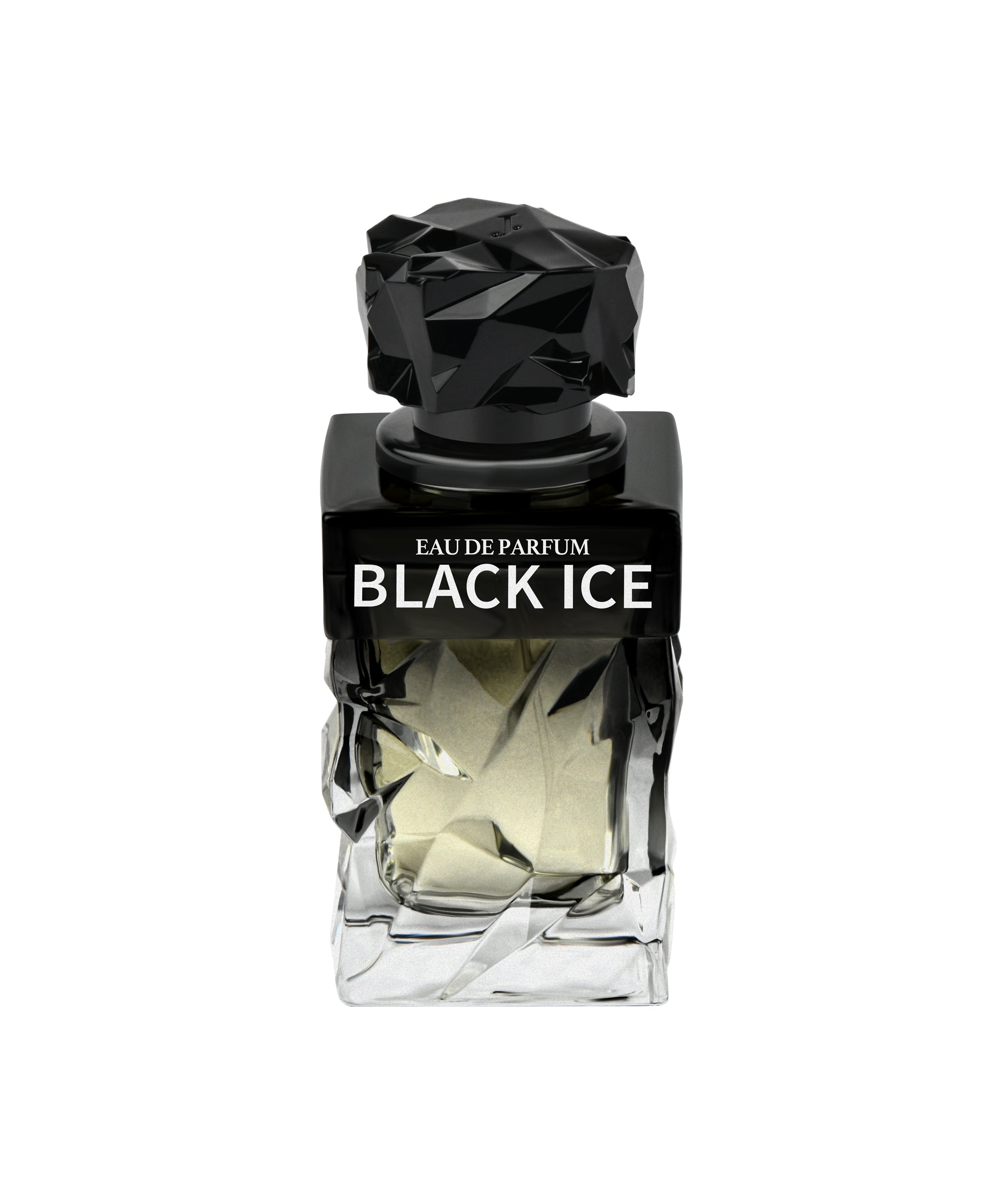 BLACK ICE POUR HOMME