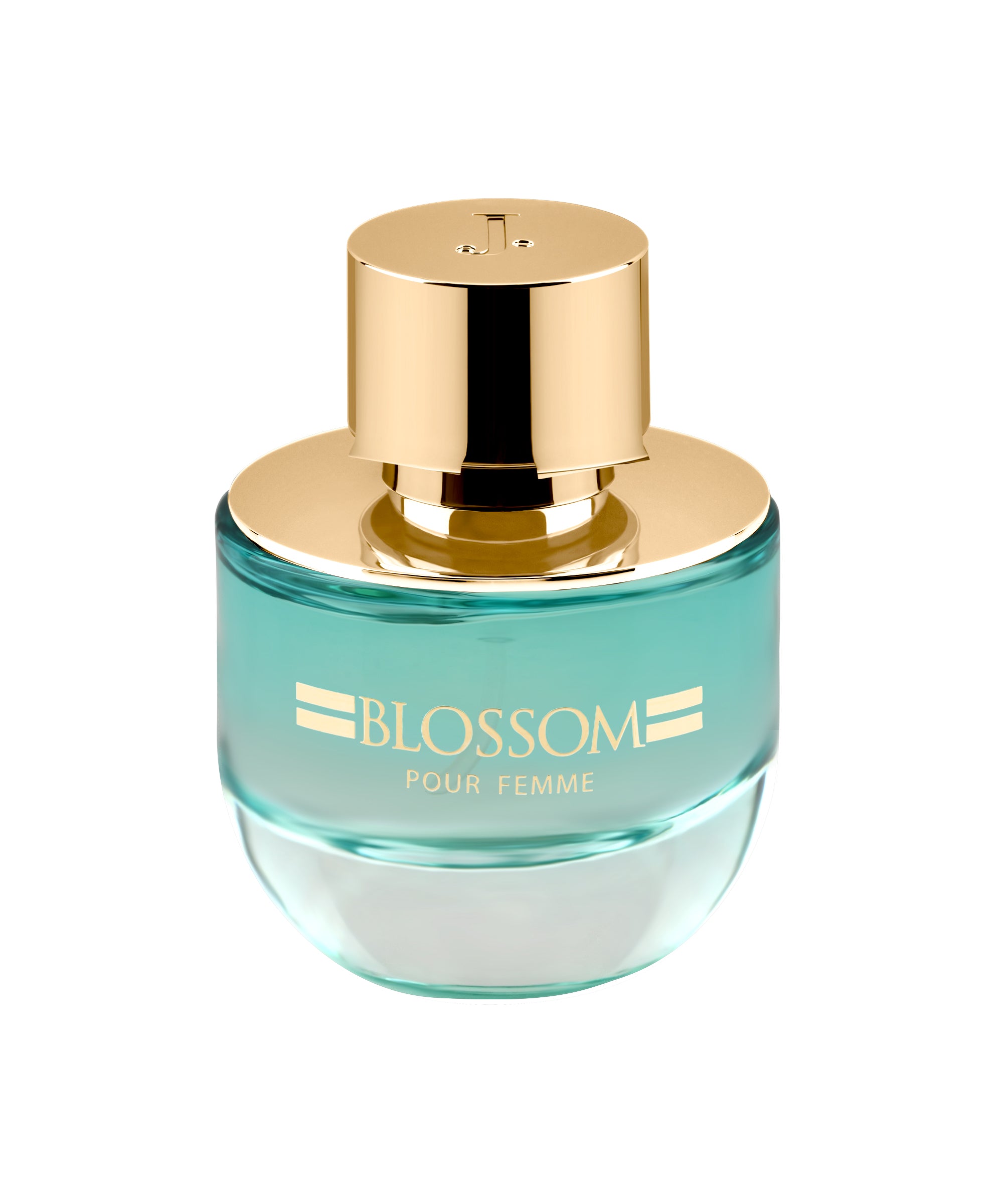 BLOSSOM