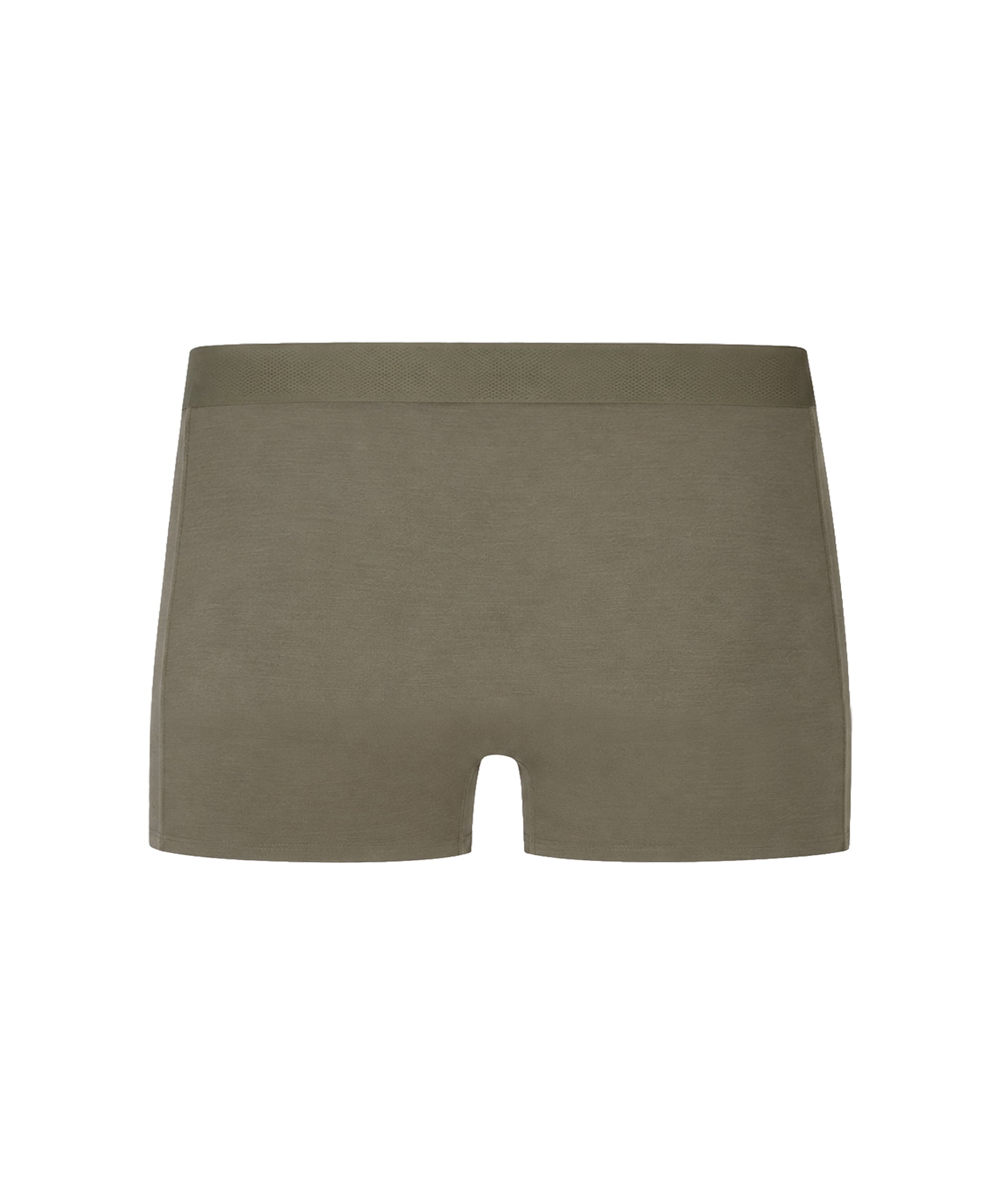 Khaki Modal Memory Trunk