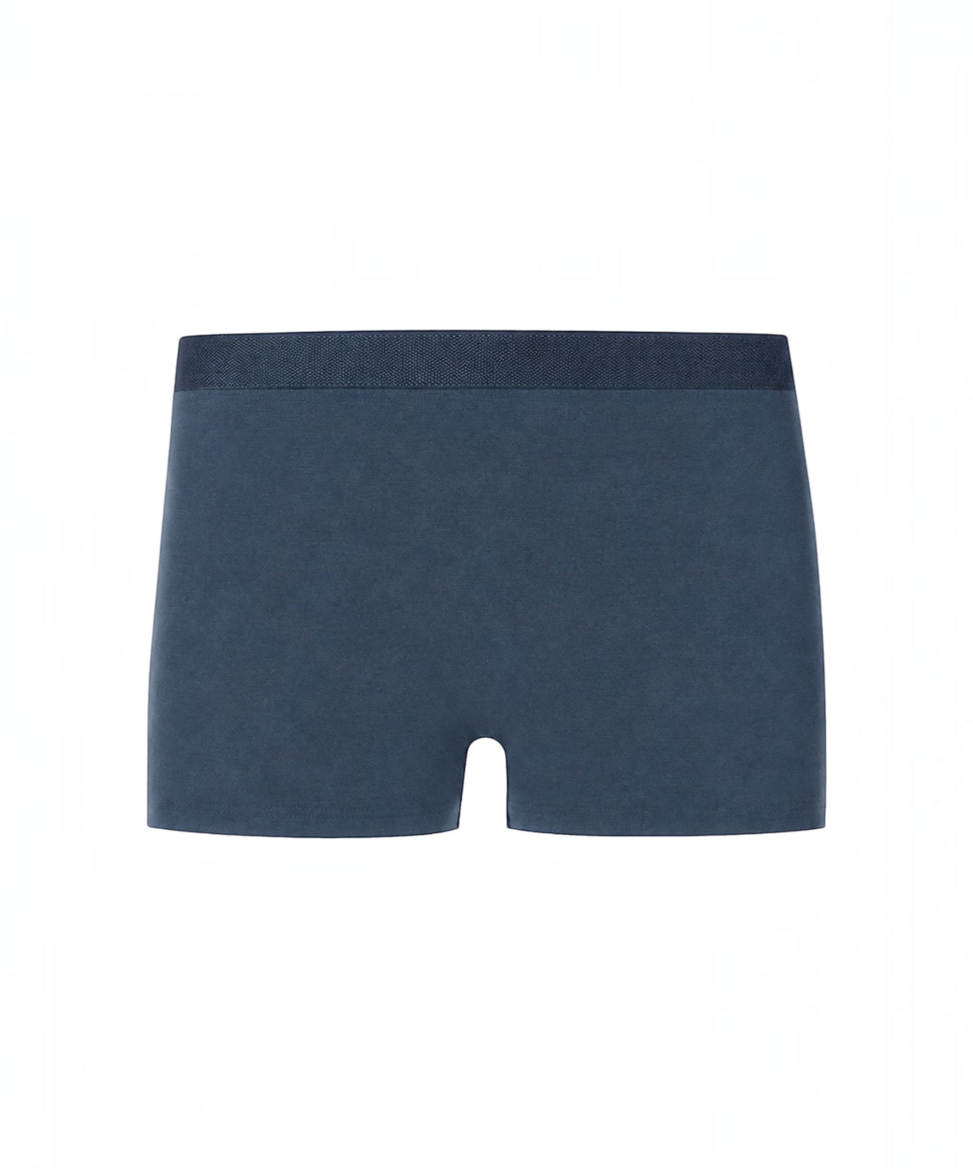 Deep Blue Modal Memory Trunk