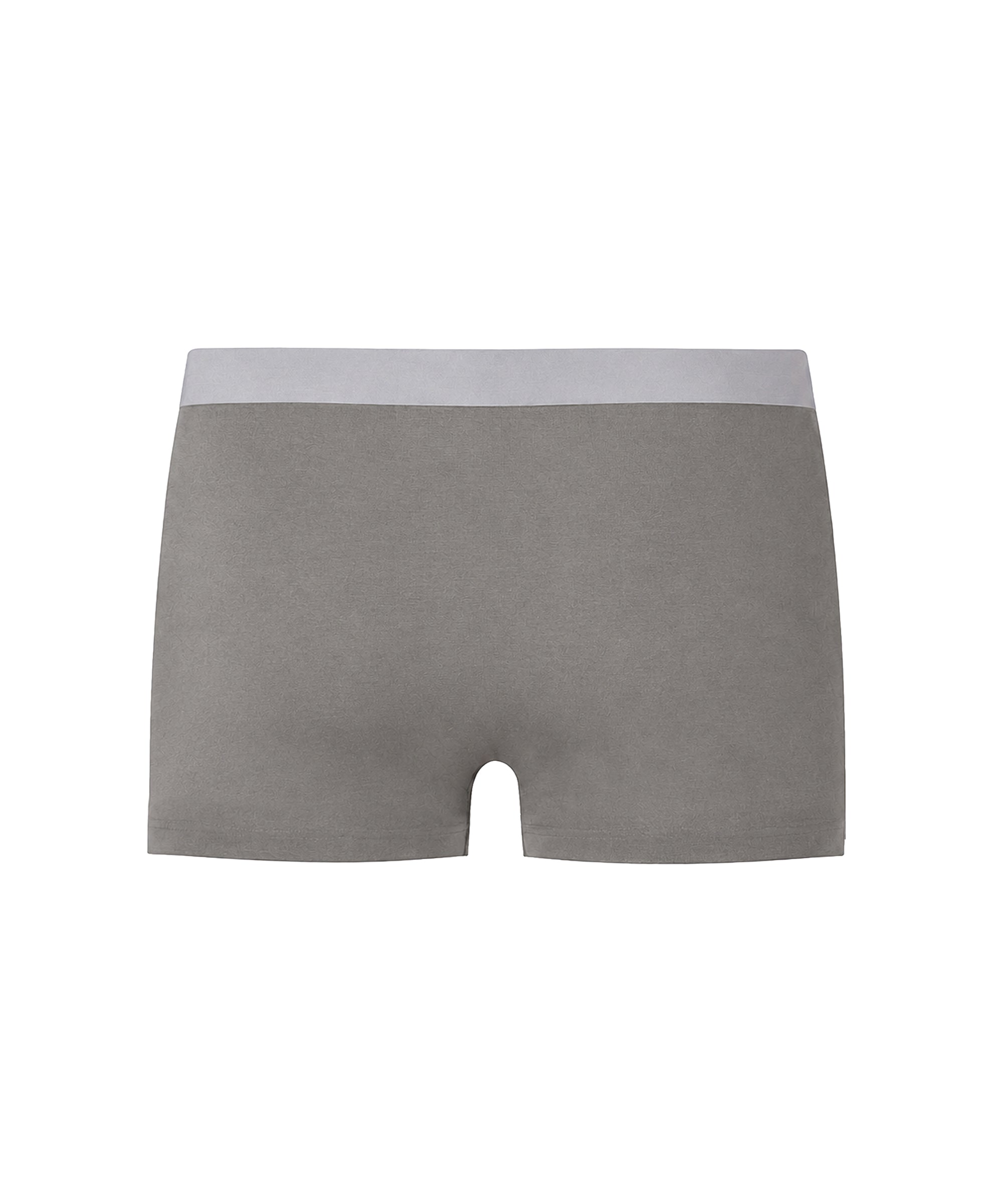 Iron Grey Antibacterial Trunk