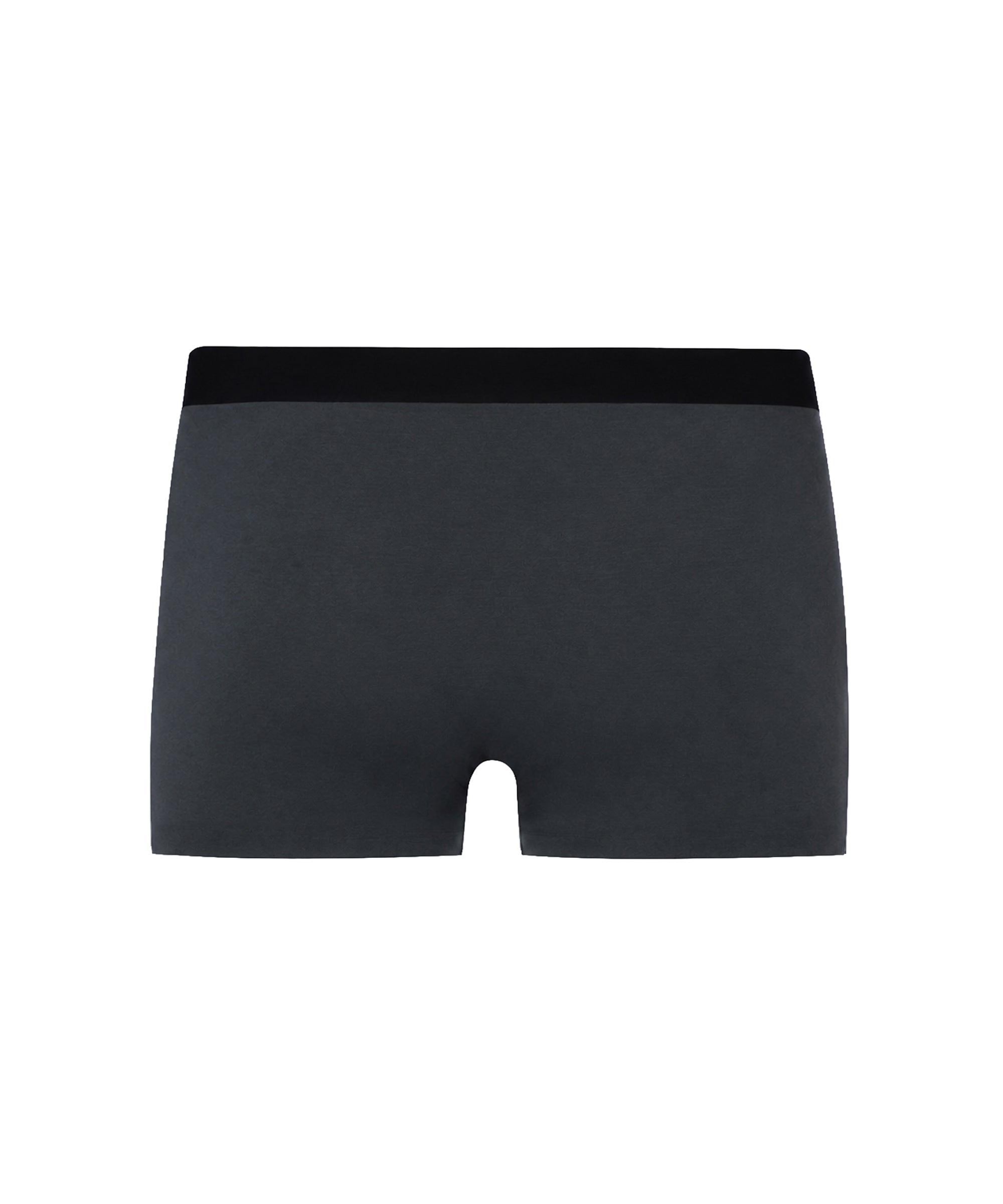 Dark Grey Antibacterial Trunk
