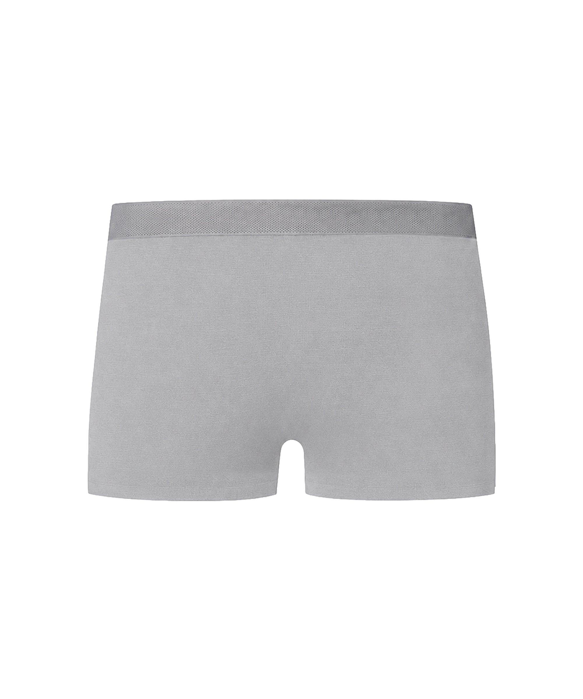 Grey Modal Memory Trunk