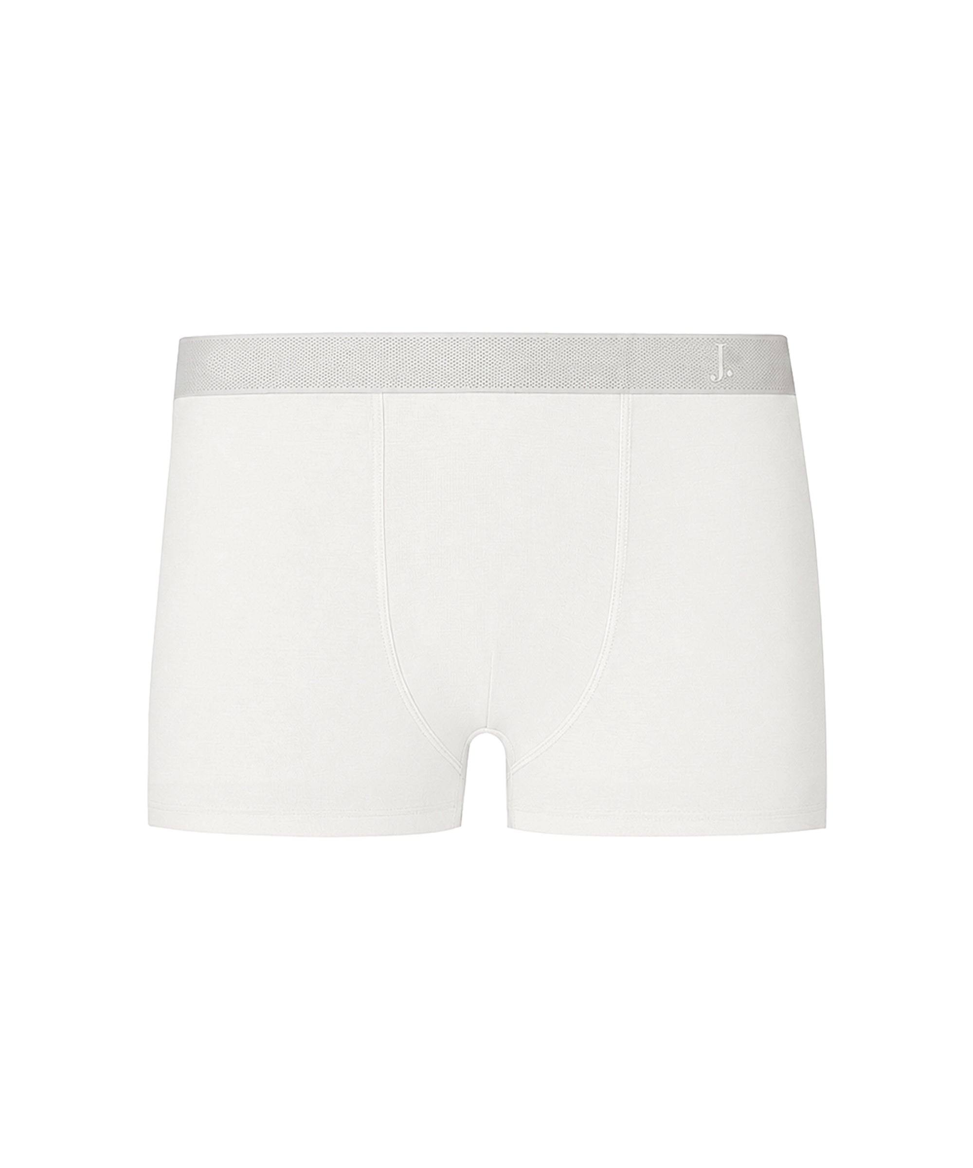 White Modal Memory Trunk