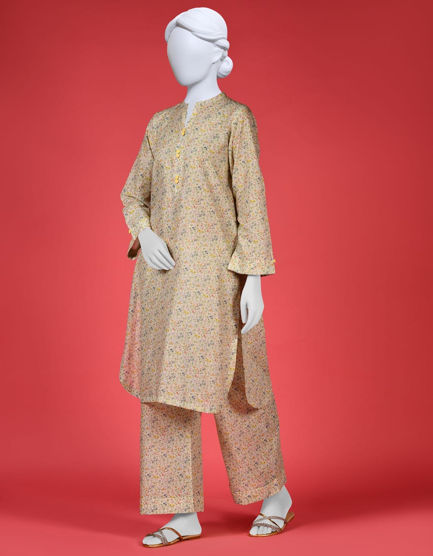 Multicolor Lawn 2 Piece Stitched Dress | Ccw-2Ps-St-S-23-1664