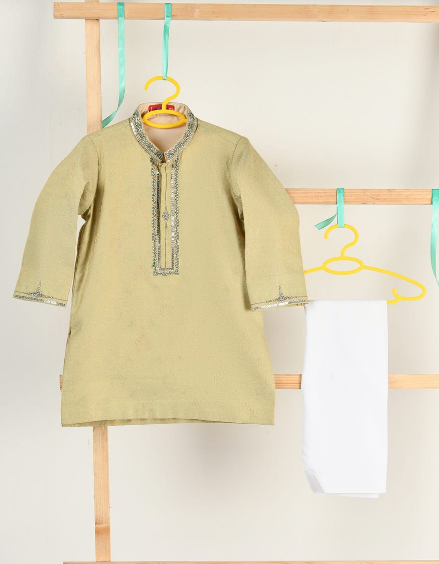 LIGHT GREEN BLENDED KAMEEZ SHALWAR | JJIKS-SP-A-48166