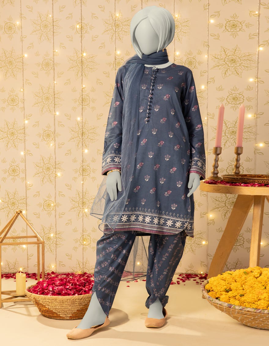 BLUE LAWN PASTE PRINTED 3PC STITCHED