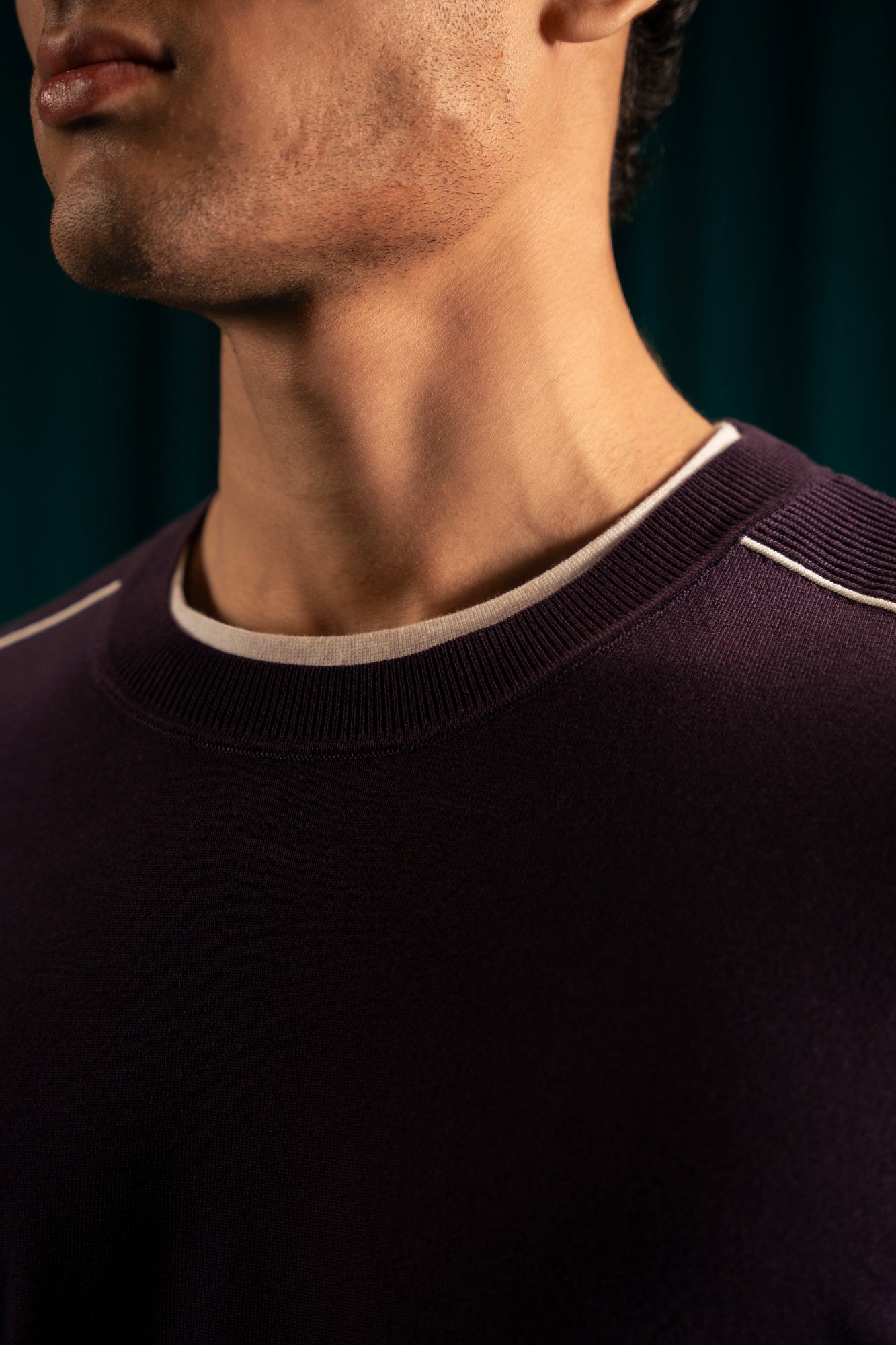 Purple Lyocell Crew Neck Sweater | Cc Swt 0015